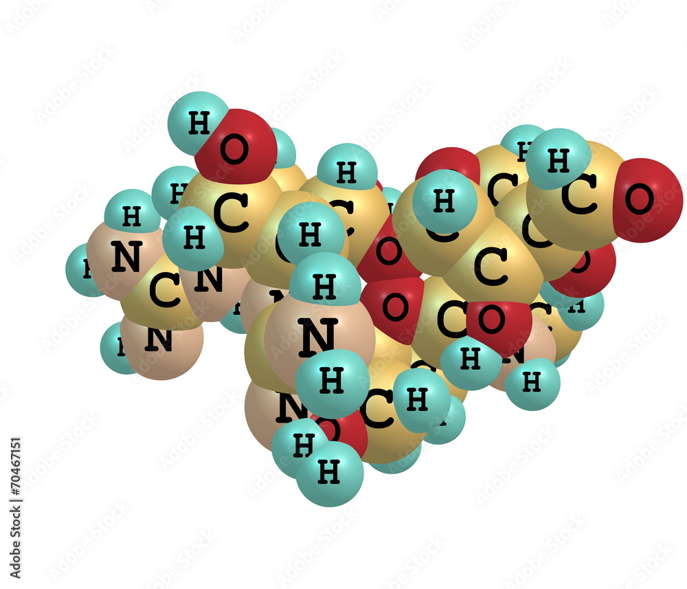 Fototapeta premium Streptomycin molecule isolated on white