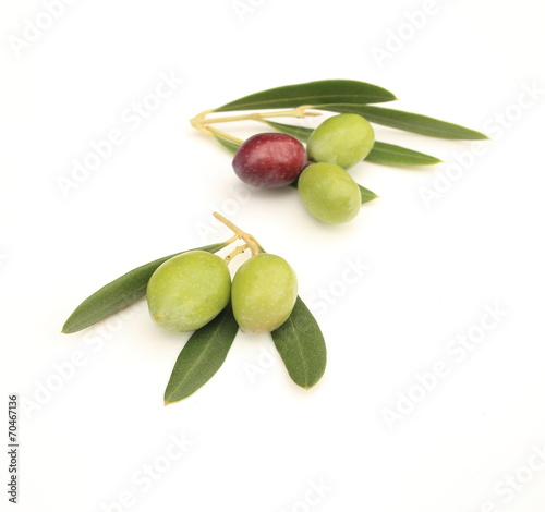 Wallpaper Mural オリーブの実 Torontodigital.ca