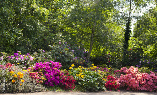 Fototapeta Naklejka Na Ścianę i Meble -  London, English park in bloom