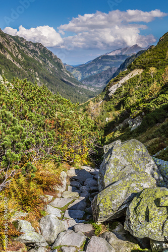 Fototapeta Naklejka Na Ścianę i Meble -  View of Tatra Mountains from hiking trail. Poland. Europe.