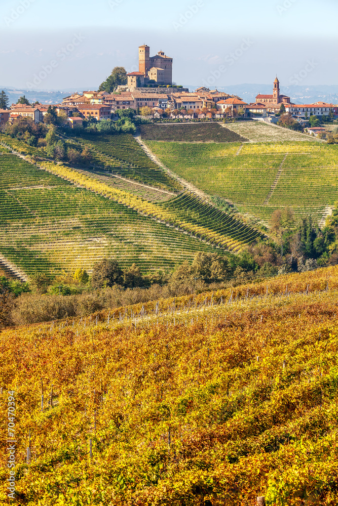Small town and vineyards in Piedmont, Italy. Small town and vineyards in Piedmont, Italy.