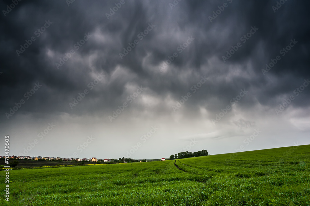 Naklejka premium field