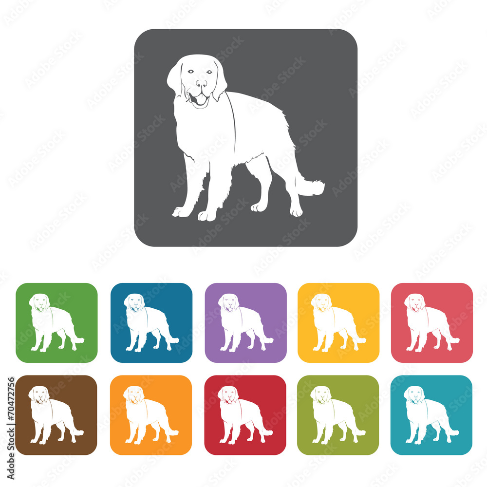 Obraz premium Golden retriever icon. Dog icons set. Rectangle colourful 12 but