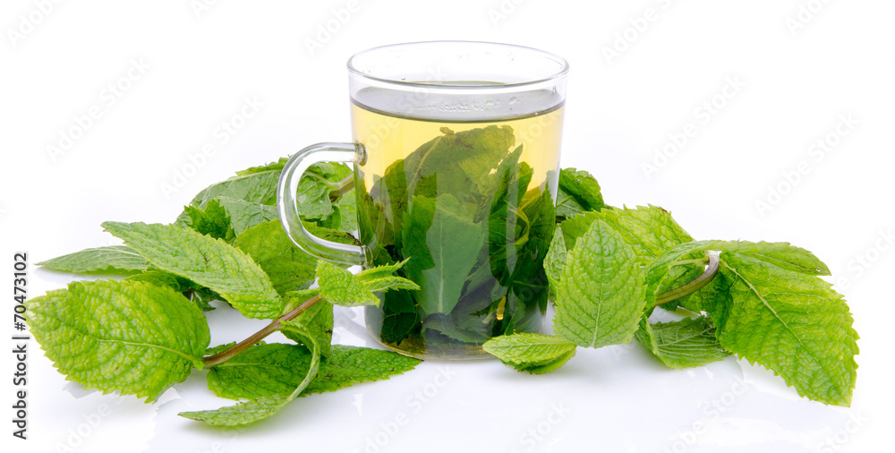 Cup of mint tea in the middle of fresh mint Cup of mint tea in the middle of fresh mint