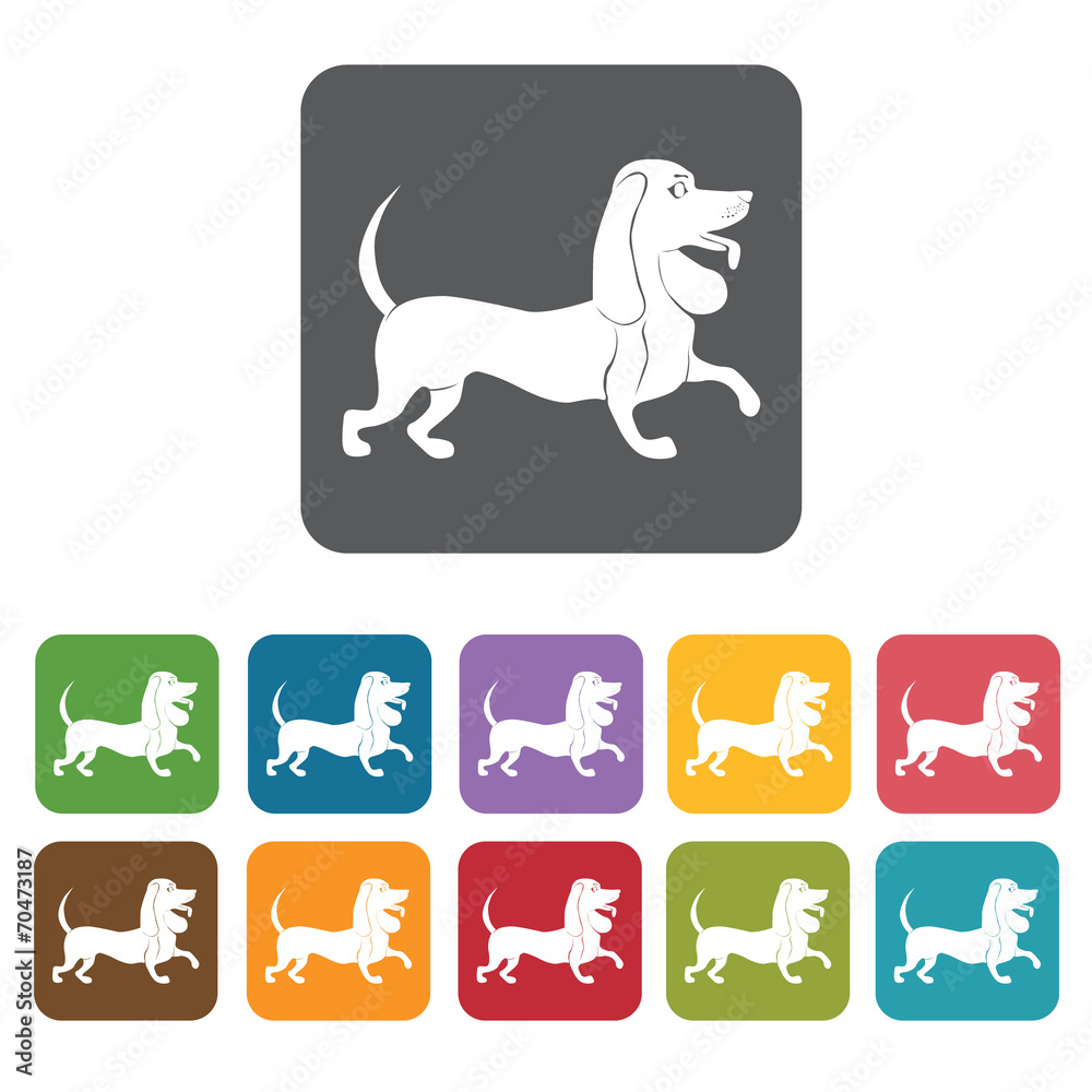 Daschund icon. Dog icons set. Rectangle colourful 12 buttons. Ve