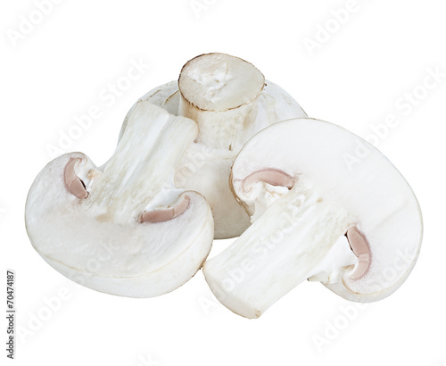 Champignon mushrooms isolated on white background