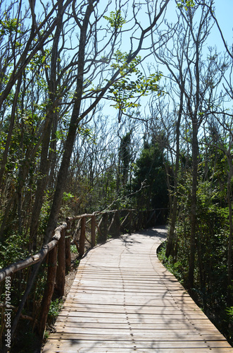 traffic-free coastal walk empires