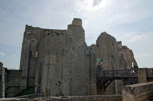 Chateau des évêques ou baronnial à Chauvigny photo