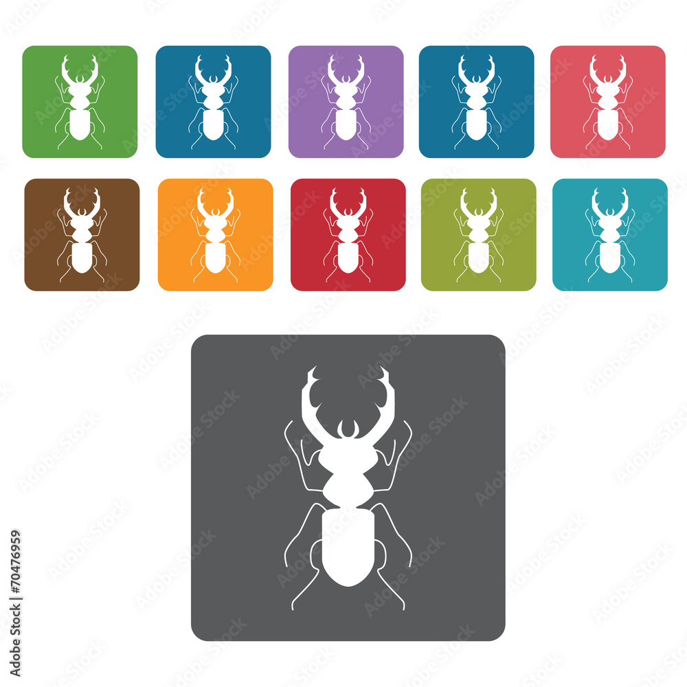 Beetle icon. Insect icon set. Rectangle colourful 12 buttons. Ve Beetle icon. Insect icon set. Rectangle colourful 12 buttons. Ve