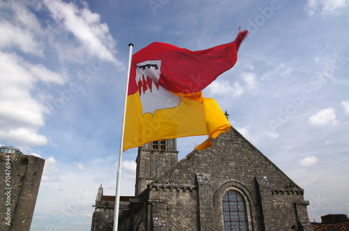 Drapeau des Armoiries de Chauvigny photo