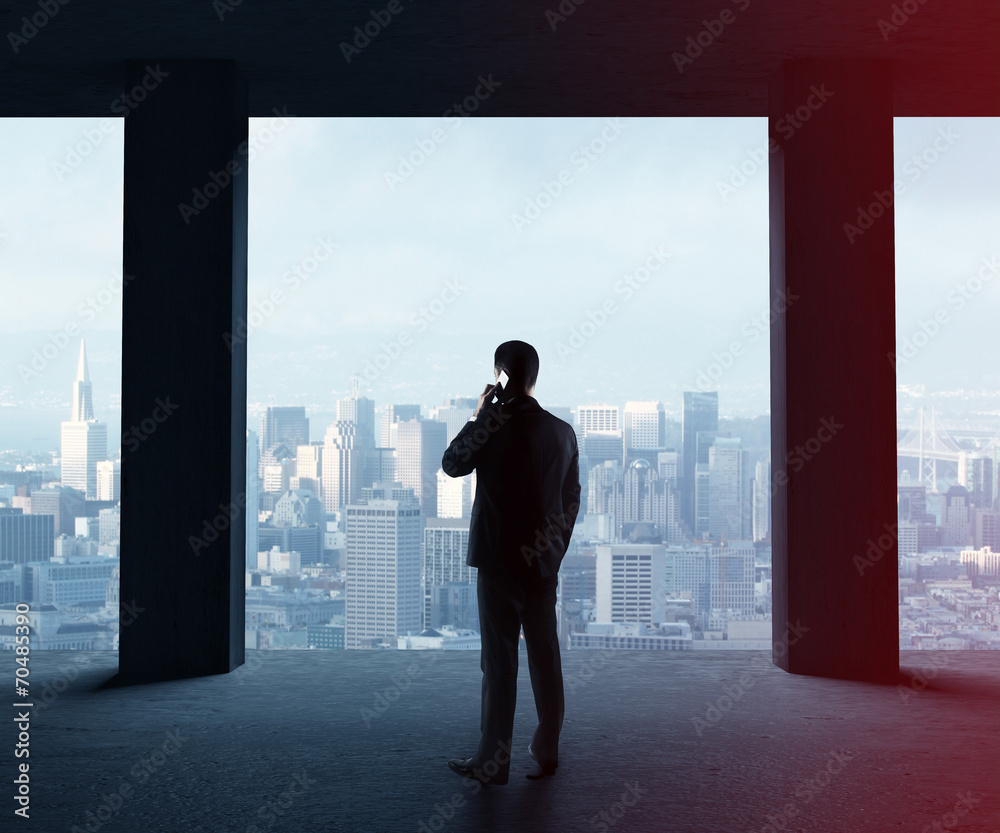 Fototapeta premium businessman with phone