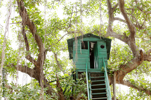 Closeup of a Watch tower at Jhirna Forest, Jim Corbett © Dr Ajay Kumar Singh