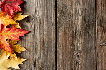 Autumn maple leaves over wooden background