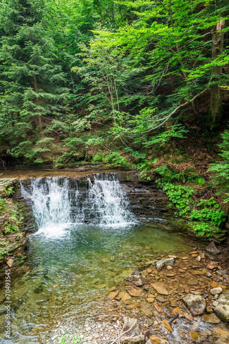 Cascade Water in the mountain forests