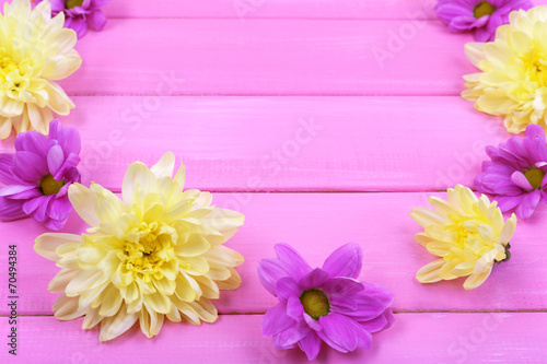 beautiful chrysanthemum flowers on pink wooden background