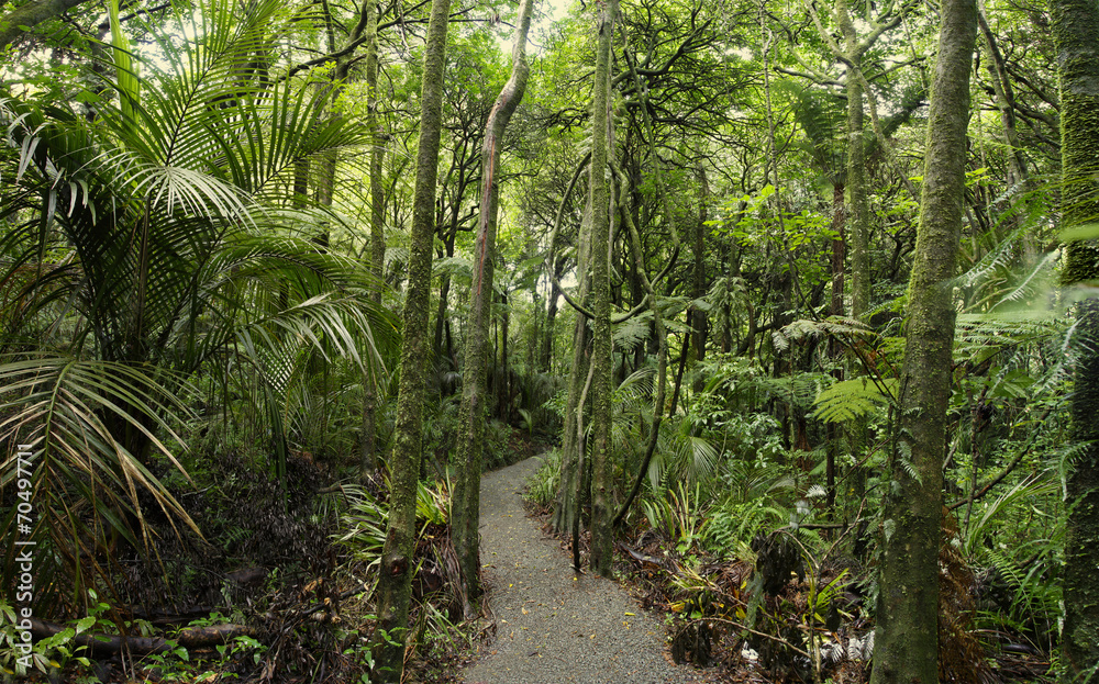 Walking trail