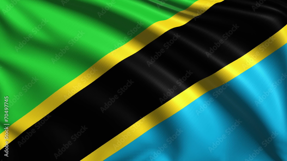 flag of Tanzania with fabric structure; looping flag of Tanzania with fabric structure; looping