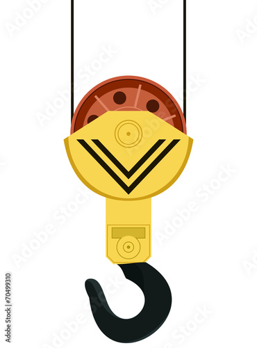 Crane hook