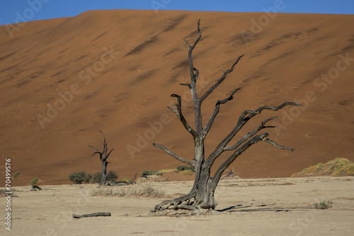 Namibia, sossusvlei, red desert
