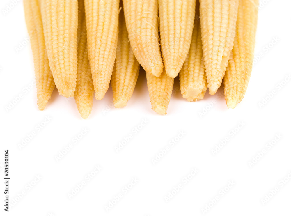 Close up of baby corn. Close up of baby corn.