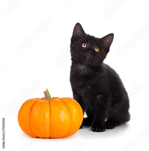 Cute black kitten next to a mini pumpkin isolated on white © Benjamin Simeneta