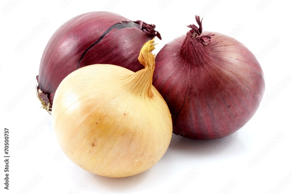 cebula cebula