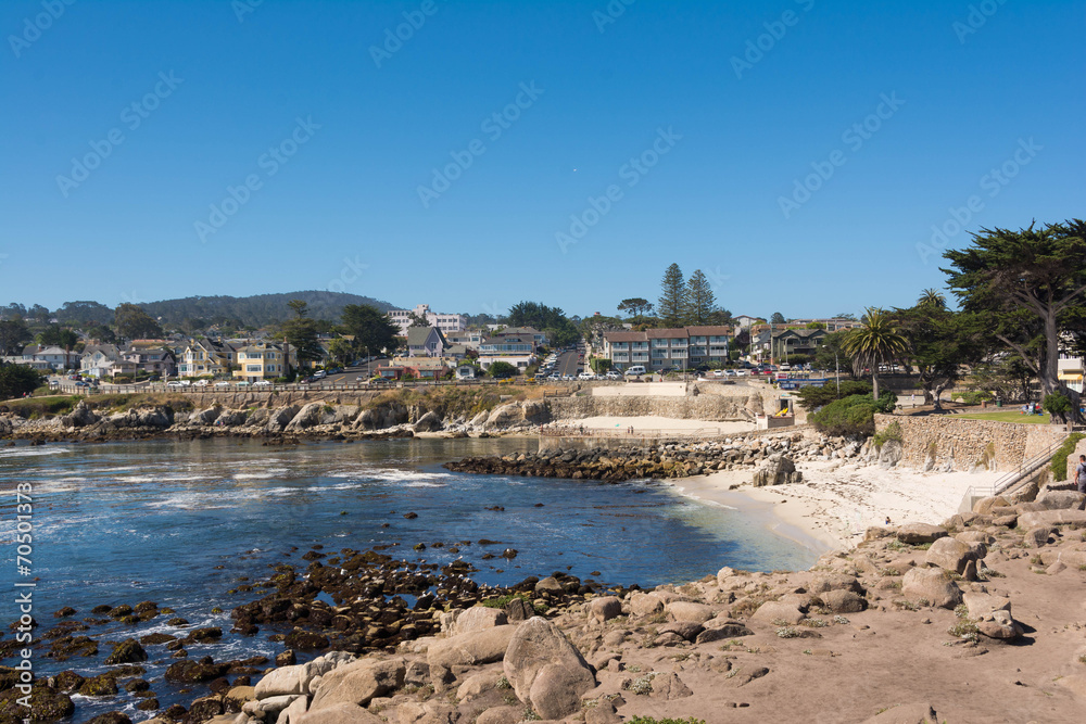 The coast of Point Loma, Monterey