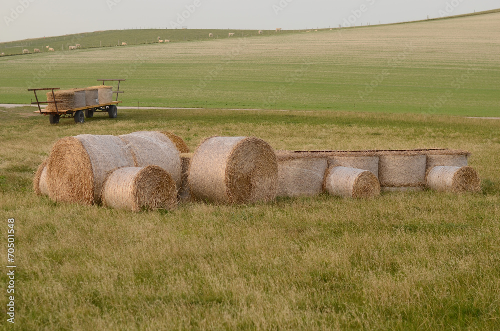 tracteur en paille