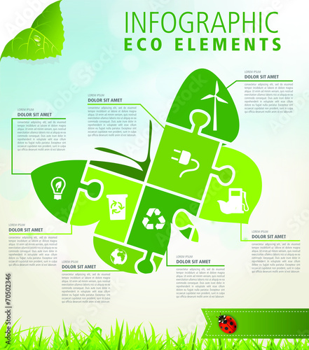 Ecology Infographic