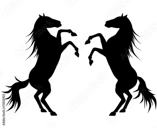 silhouette two horse