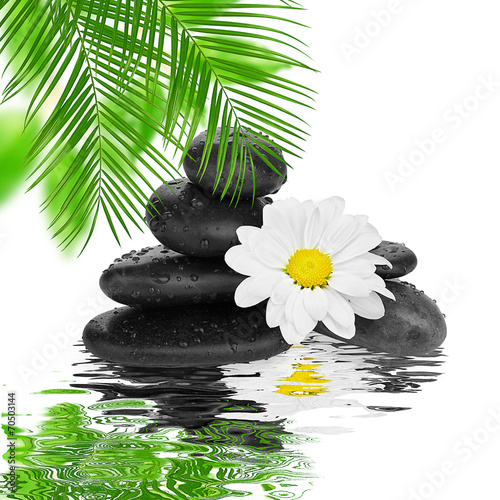 spa Background -  black stones and bamboo on water