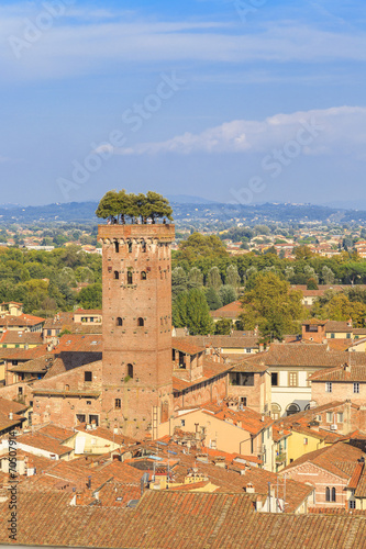 lucca tower