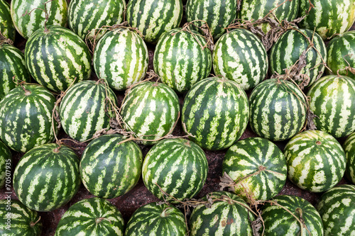 Fresh and ripe watermelons