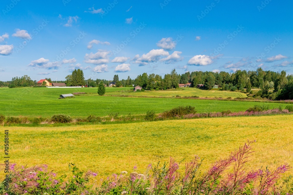 houses in a rural landscape