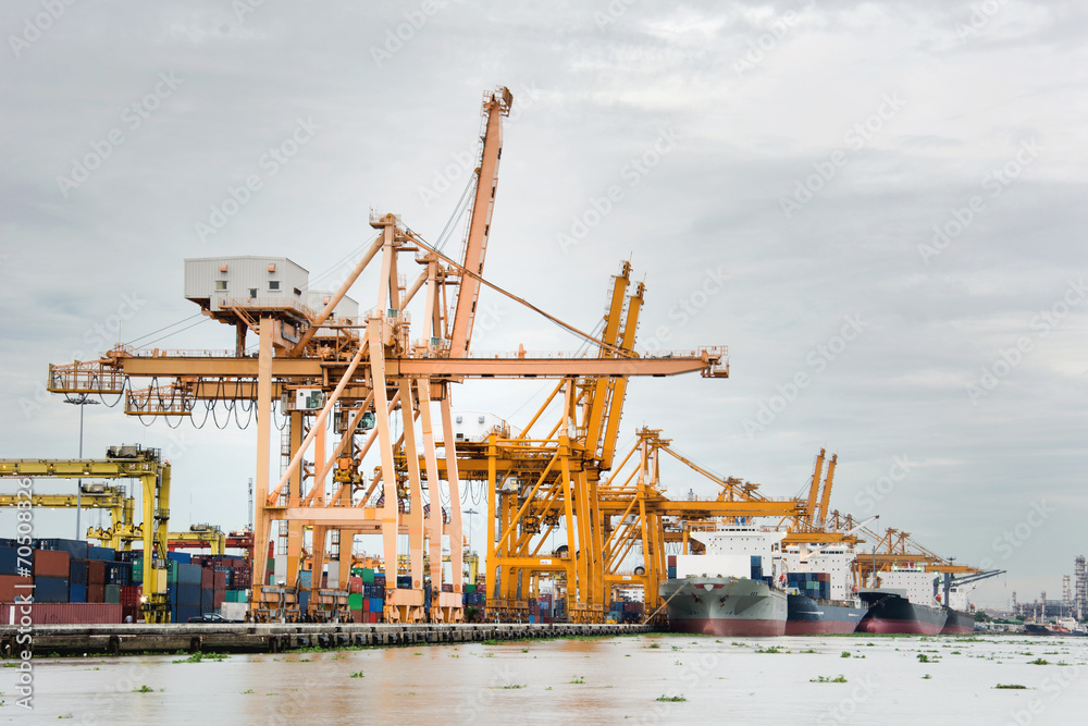 Cargo Cranes in Industrial Port