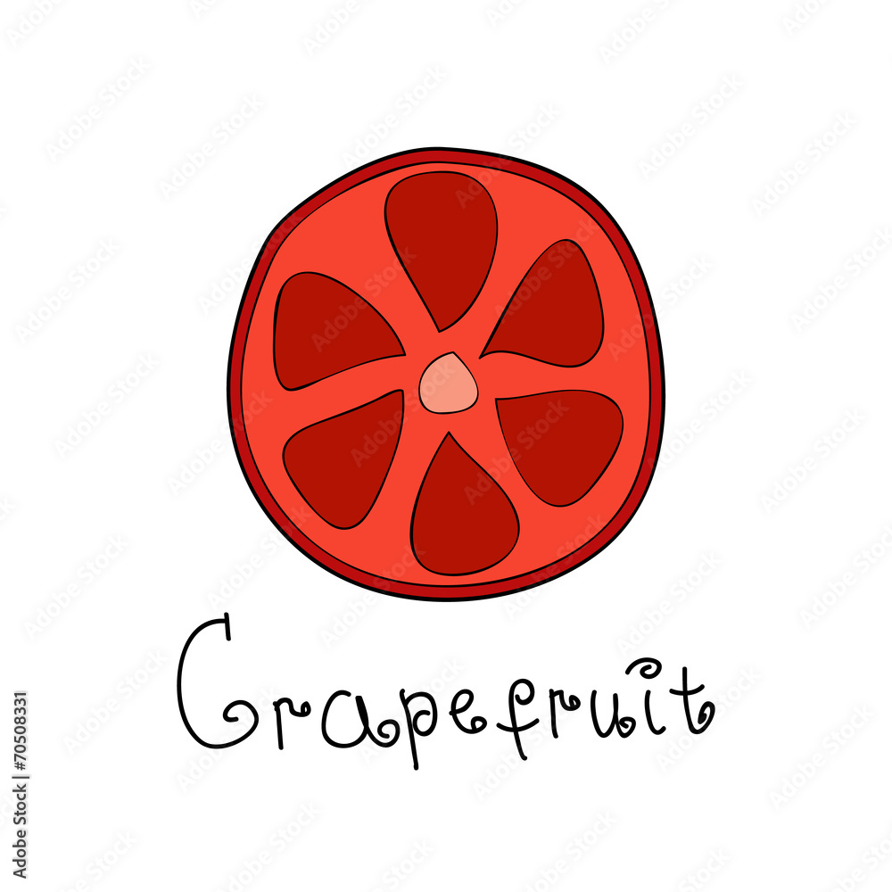 Doodle grapefruit slice