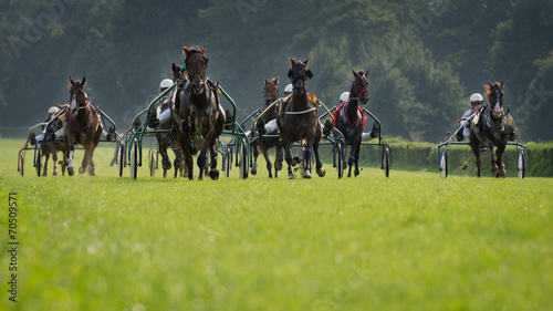 Obraz na płótnie Horse trotting race