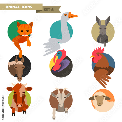 Farm animals avatars