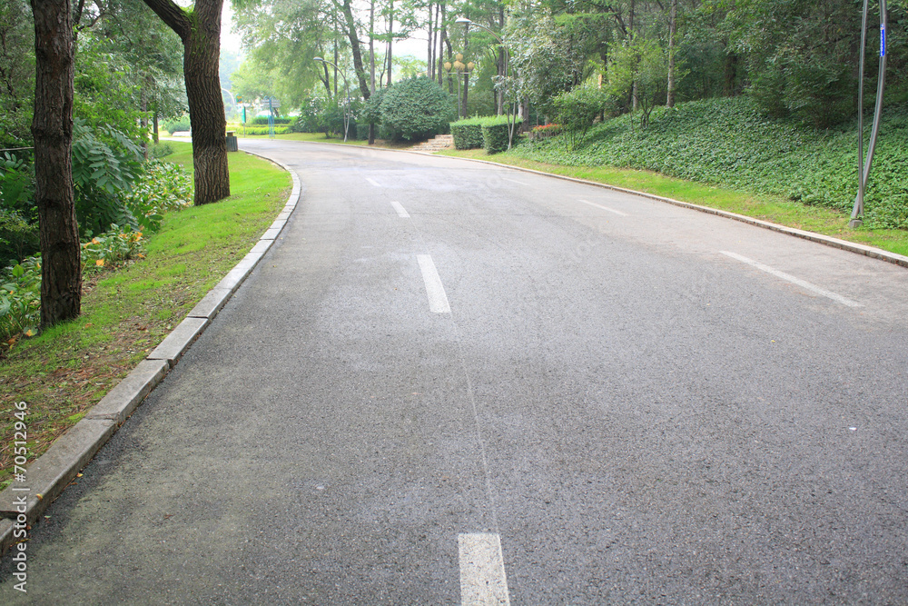 Obraz premium Forest Road