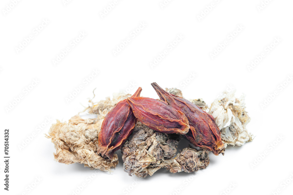 Dried chrysanthemum flowers and seed on white background.