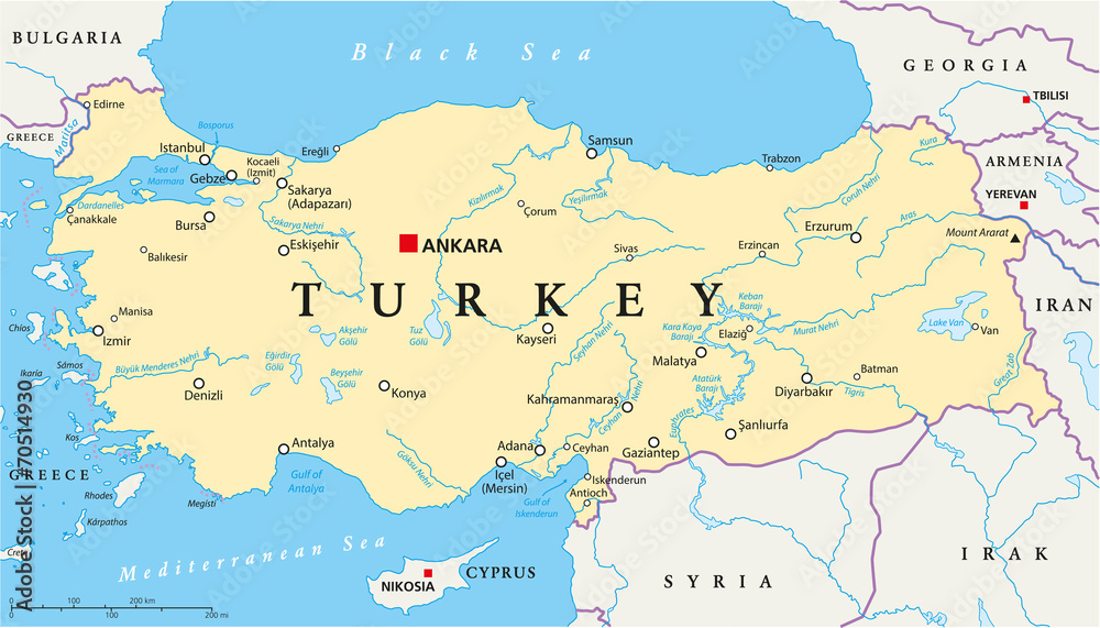 Fototapeta premium Turkey Political Map
