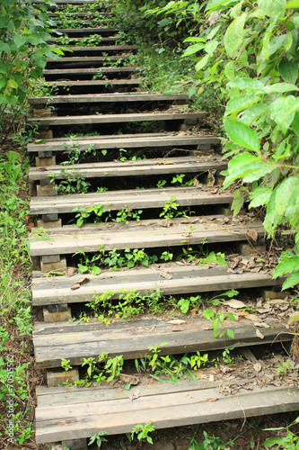 Wooden steps