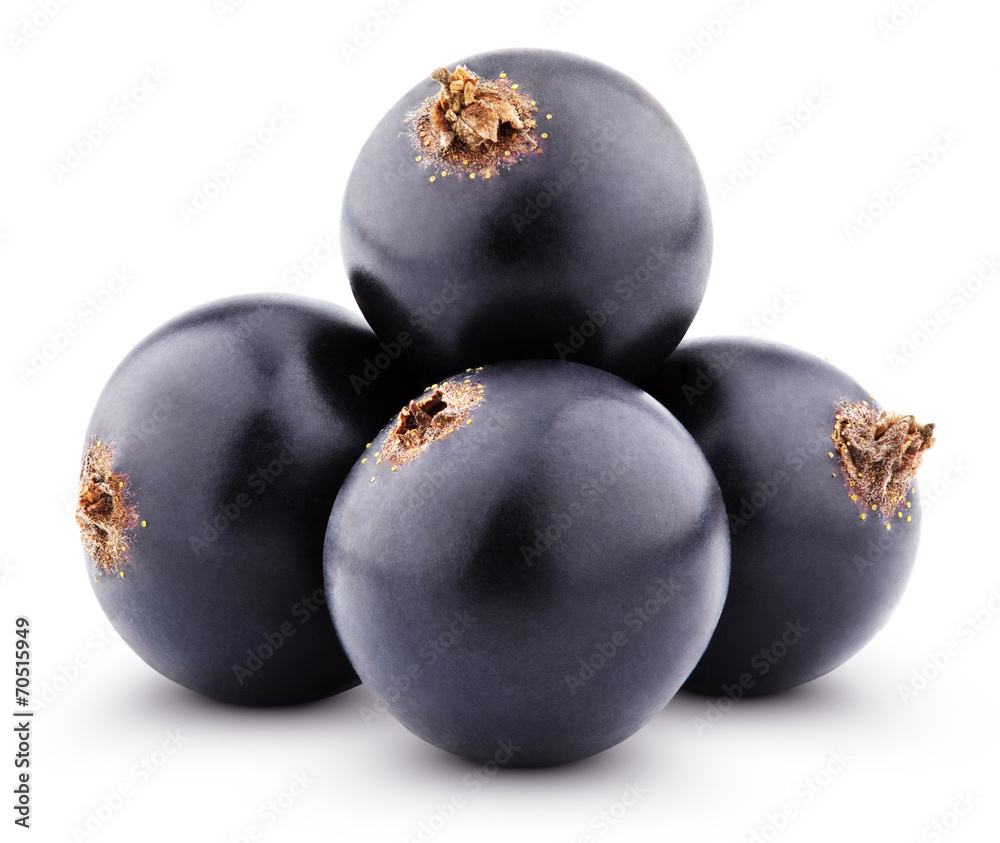 Black currant berries isolated on white with clipping path Black currant berries isolated on white with clipping path