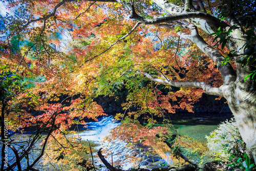 Fototapeta Naklejka Na Ścianę i Meble -  Mount Hiei