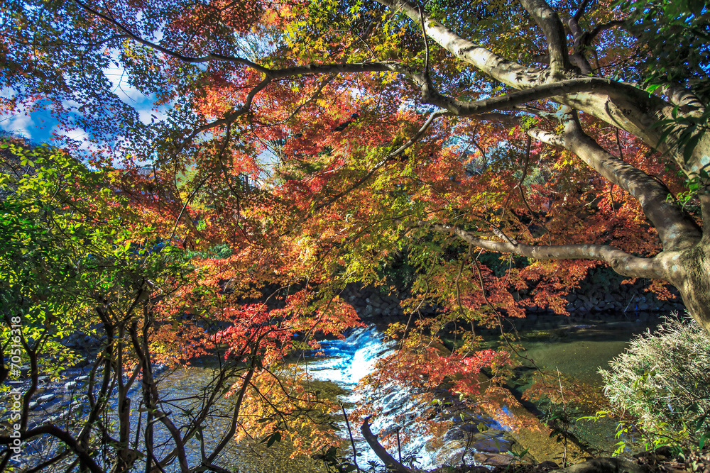 Mount Hiei