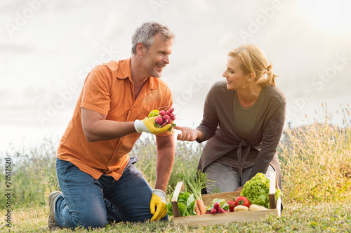 Mature Couple Cultivating Vegetables