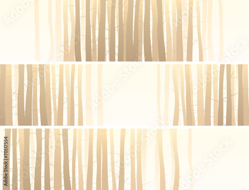 Horizontal banner with many tree trunks.