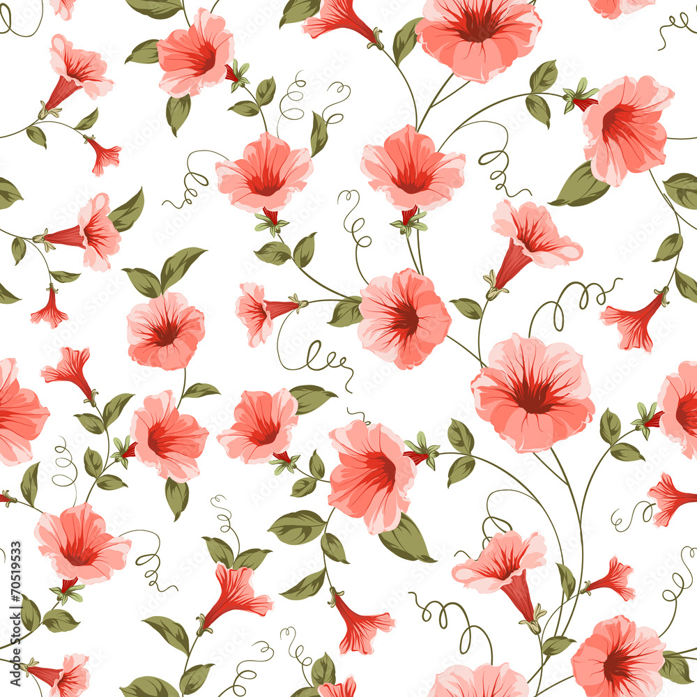 Bindweed , floral background, seamless pattern
