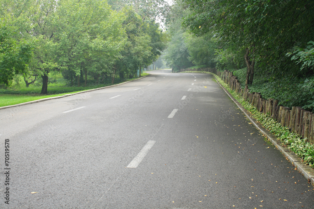 Obraz premium Forest Road