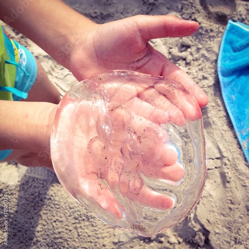 caught a jellyfish photo